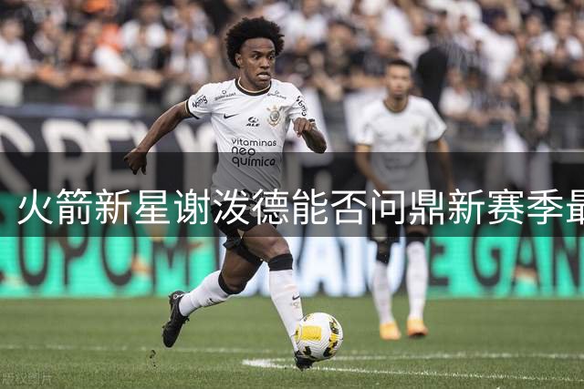 火箭新星谢泼德能否问鼎新赛季最佳第六人？