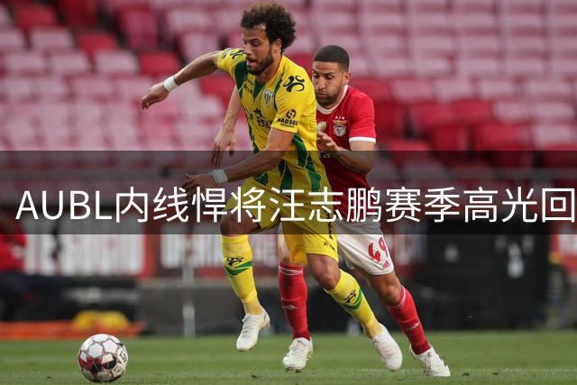 AUBL内线悍将汪志鹏赛季高光回顾：禁区霸主展现统治力